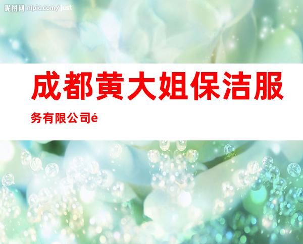 成都黄大姐保洁服务有限公司银川分公司