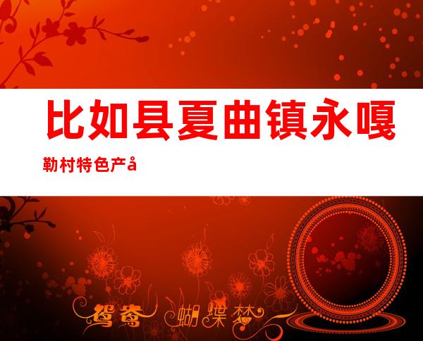 比如县夏曲镇永嘎勒村特色产品农牧民专业合作社